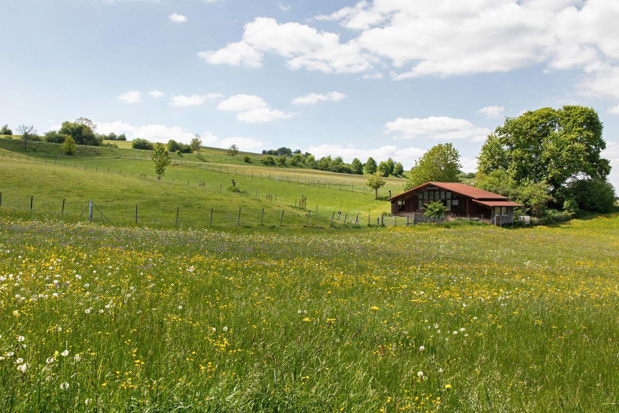 Ferienwohnung Emilia, 36Qm Мюнзинген Экстерьер фото